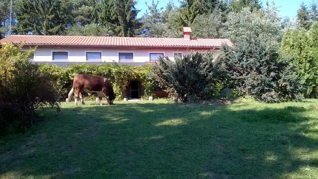 KisrakosOrsegi Patakparti Alpaka Panzio住宿加早餐旅馆 外观 照片