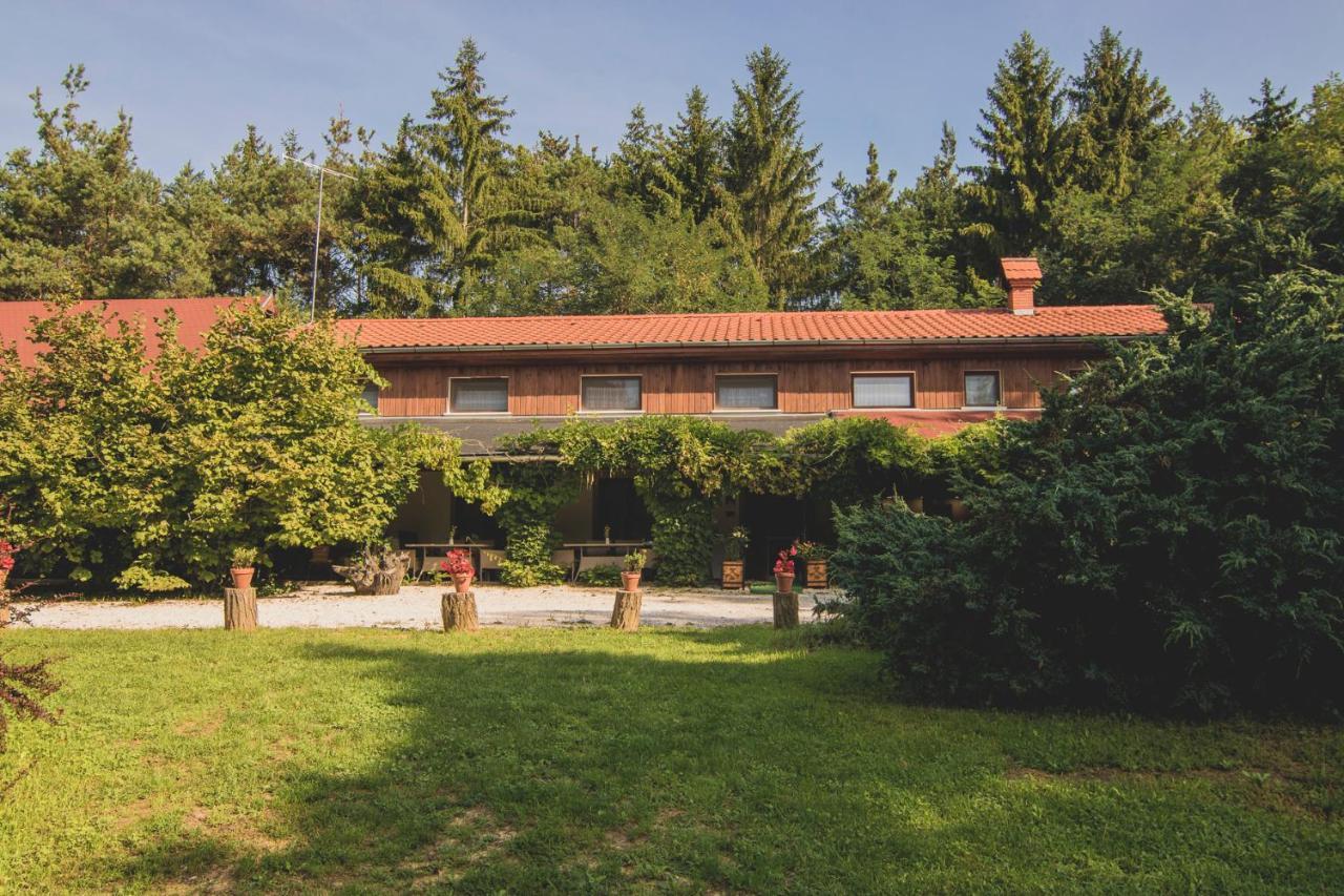 KisrakosOrsegi Patakparti Alpaka Panzio住宿加早餐旅馆 外观 照片